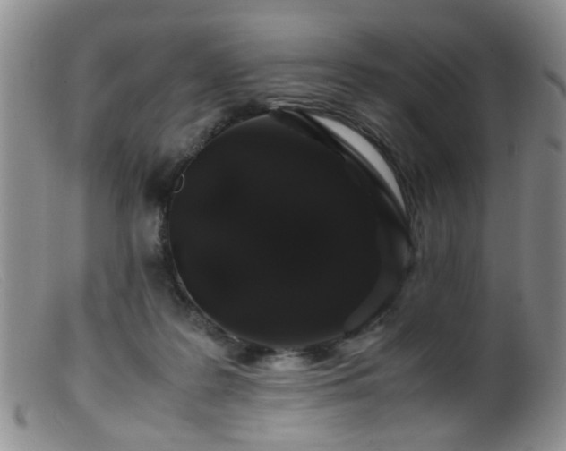 X0000099470219200805161119