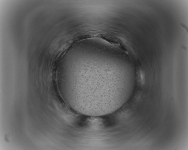 X0000099470221200805161119