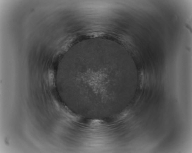 X0000099470222200805161119