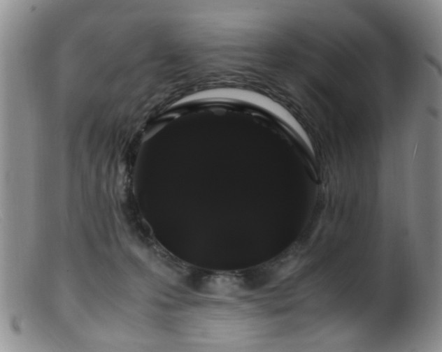 X0000099470223200805161119