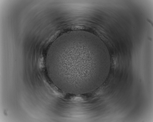 X0000099470224200805161119