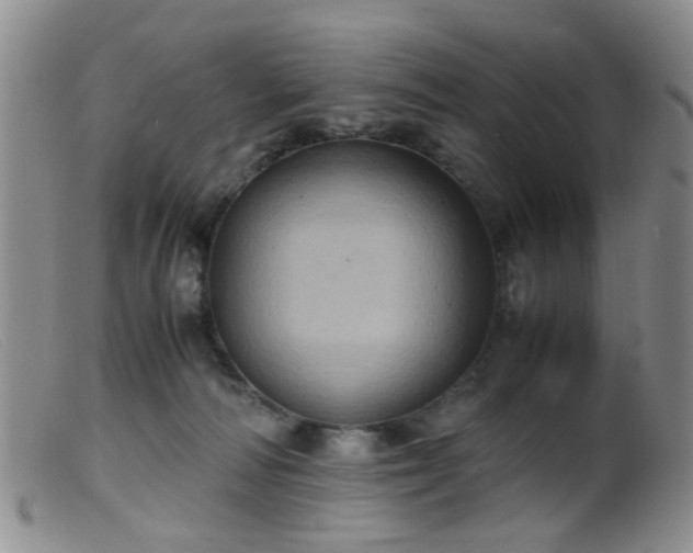 X0000099470226200805161119