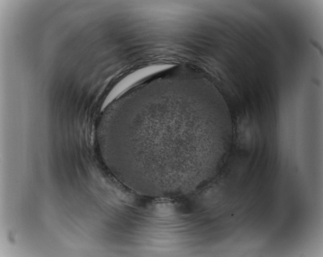 X0000099470228200805161119