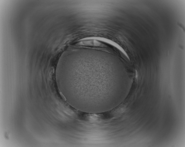 X0000099470229200805161118