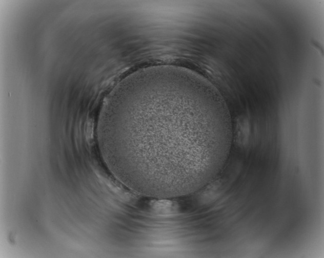 X0000099470230200805161118