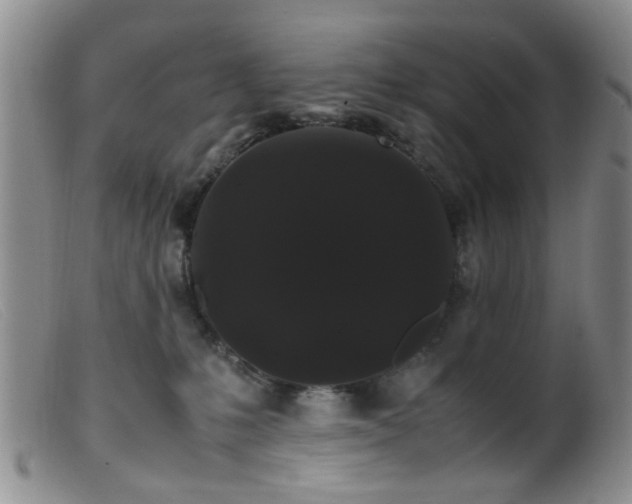 X0000099470231200805161118
