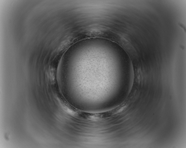 X0000099470232200805161118