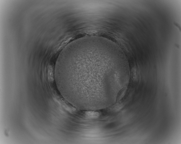 X0000099470234200805161118