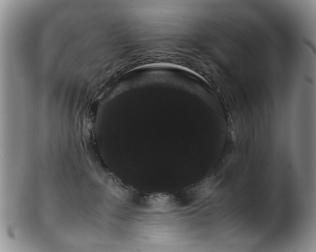 X0000099470235200805161118