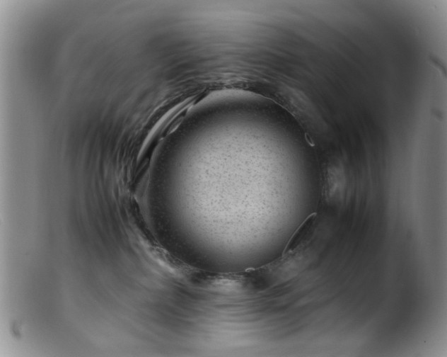 X0000099470236200805161118