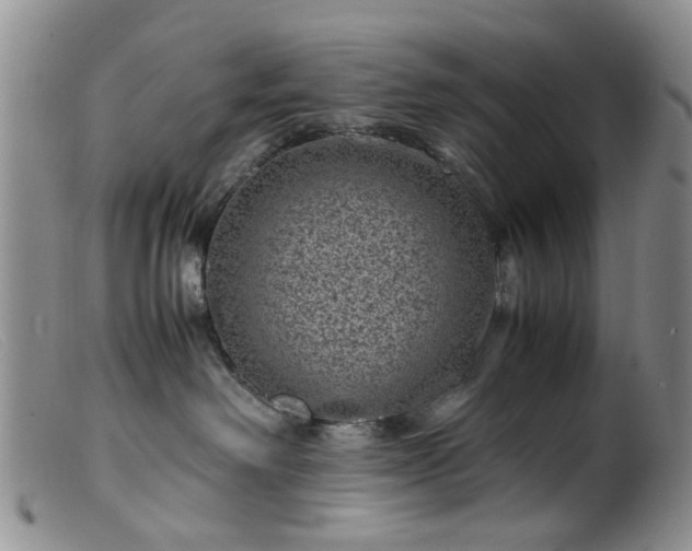 X0000099470238200805161118