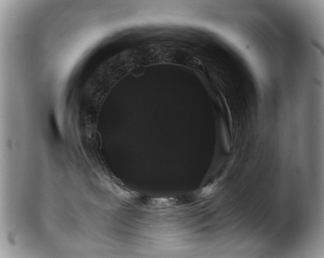 X0000099470239200805161118