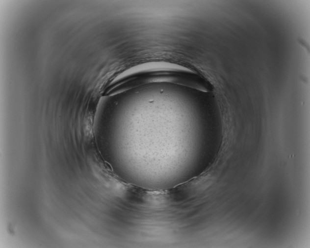 X0000099470240200805161118