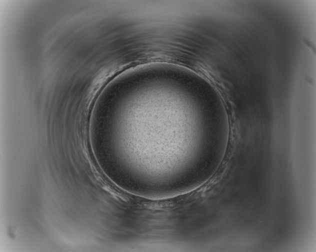 X0000099470241200805161118
