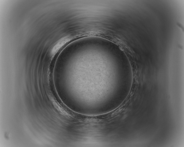 X0000099470242200805161118