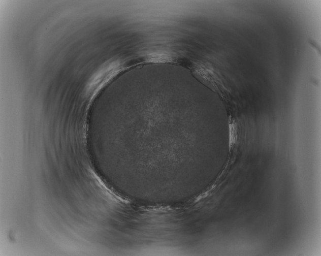 X0000099470243200805161118