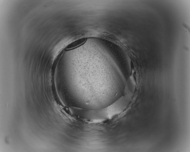 X0000099470244200805161118