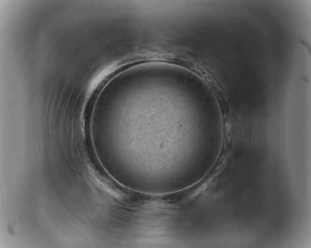 X0000099470246200805161118