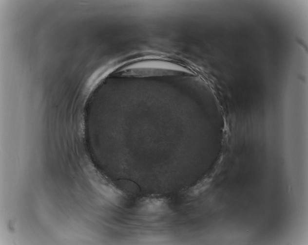 X0000099470247200805161118