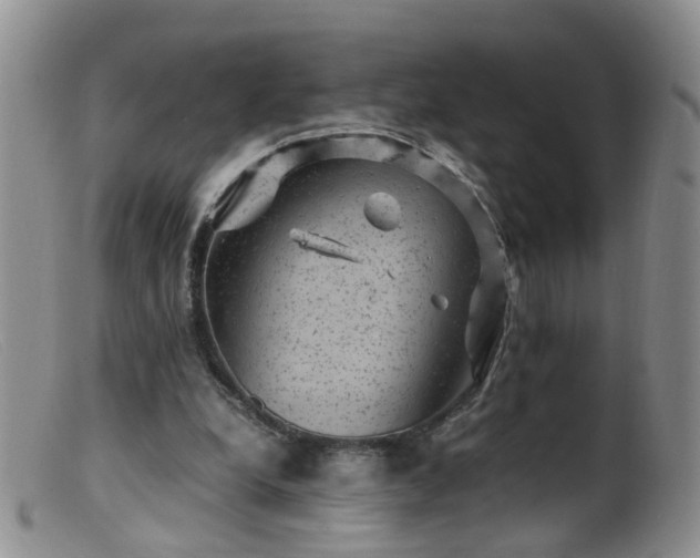 X0000099470248200805161118