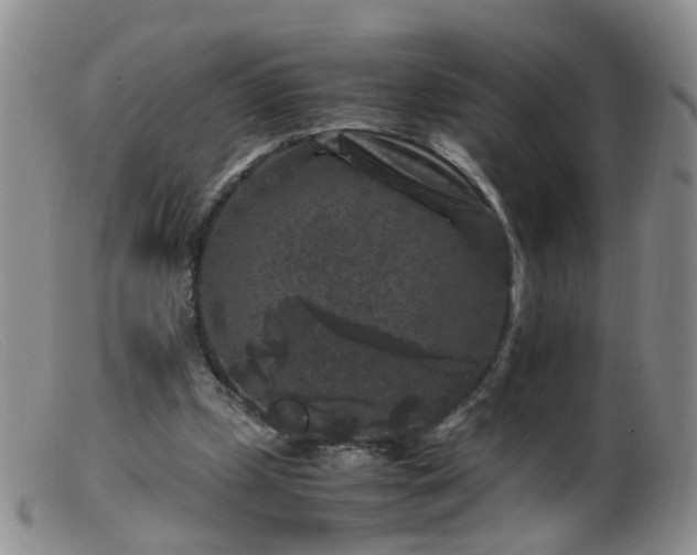 X0000099470249200805161118