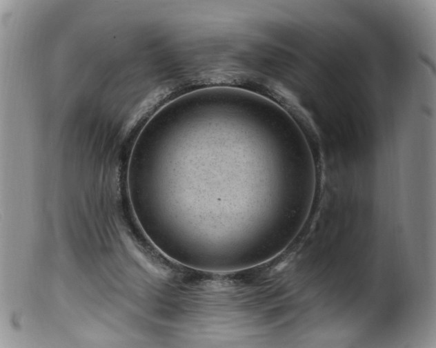 X0000099470250200805161118