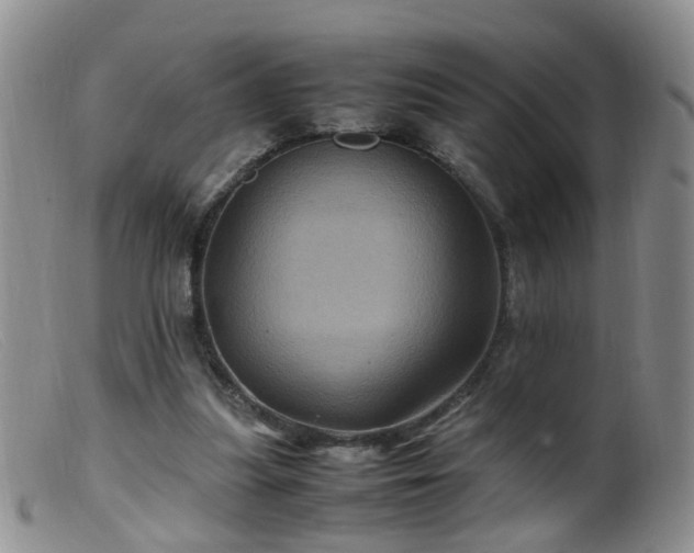 X0000099470251200805161118
