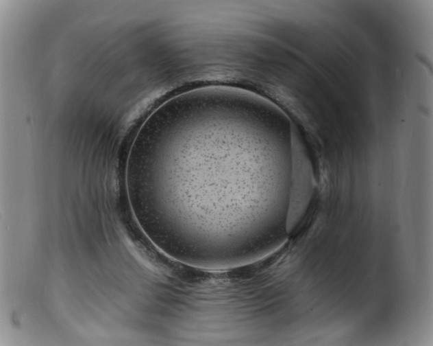 X0000099470252200805161118
