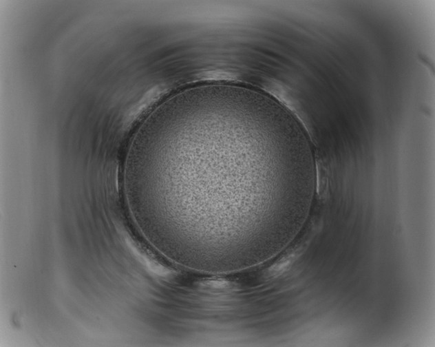 X0000099470253200805161118