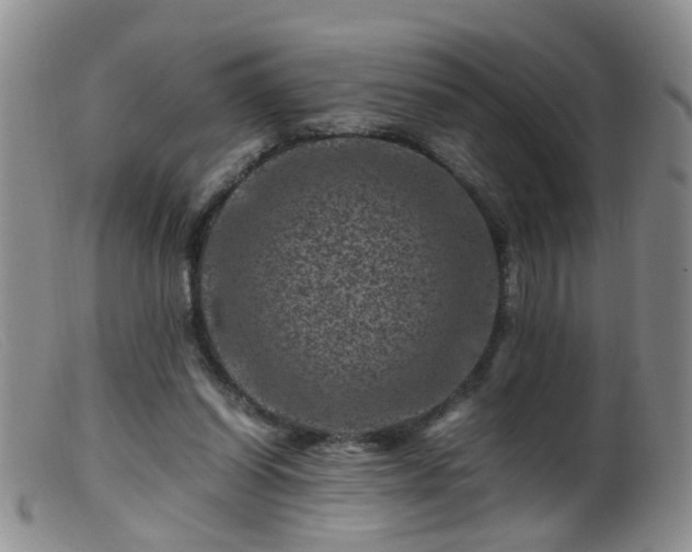 X0000099470254200805161118