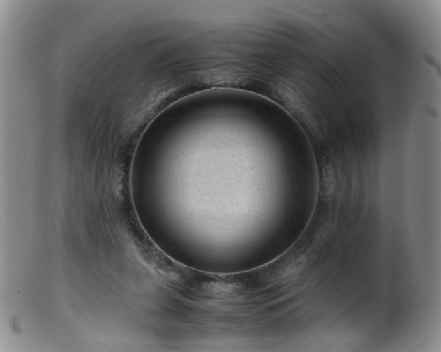 X0000099470255200805161118