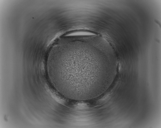 X0000099470256200805161118