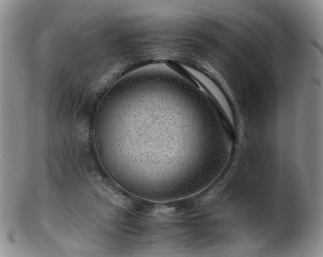 X0000099470257200805161118