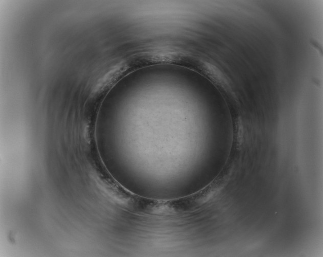 X0000099470258200805161118