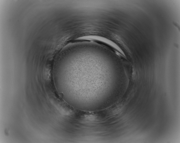 X0000099470259200805161118