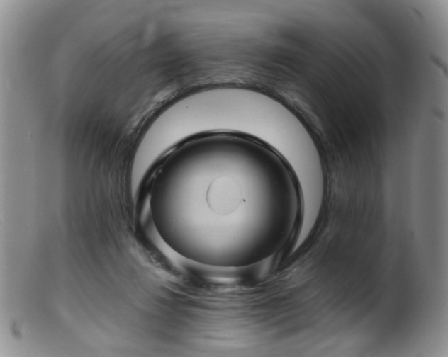 X0000099470260200805161118