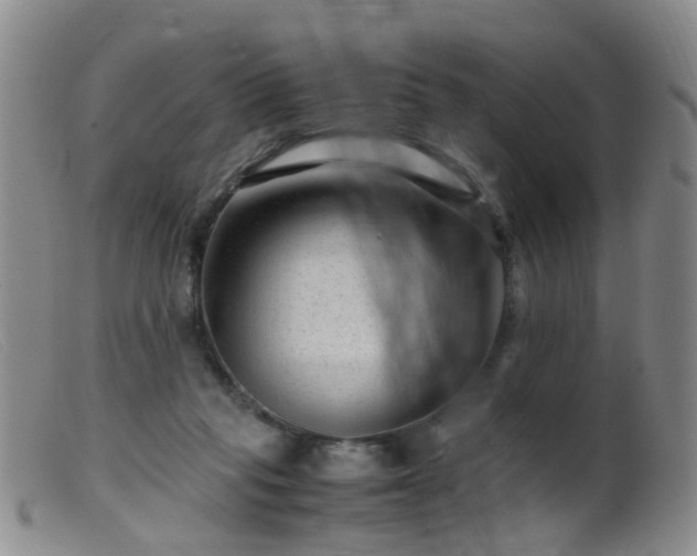 X0000099470261200805161118