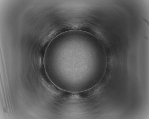 X0000099470262200805161118