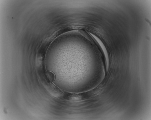 X0000099470263200805161118