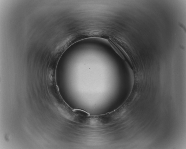 X0000099470264200805161118