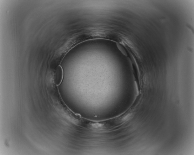 X0000099470265200805161118
