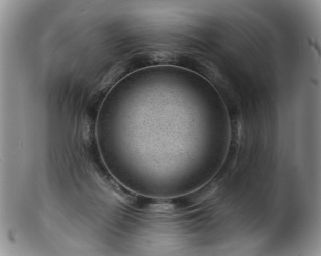 X0000099470266200805161118