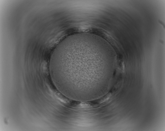 X0000099470270200805161118