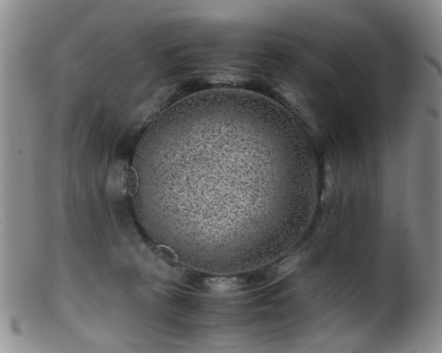 X0000099470273200805161118