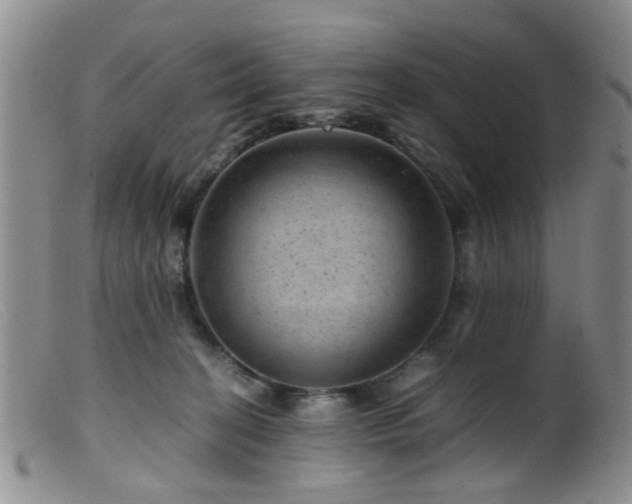 X0000099470274200805161118
