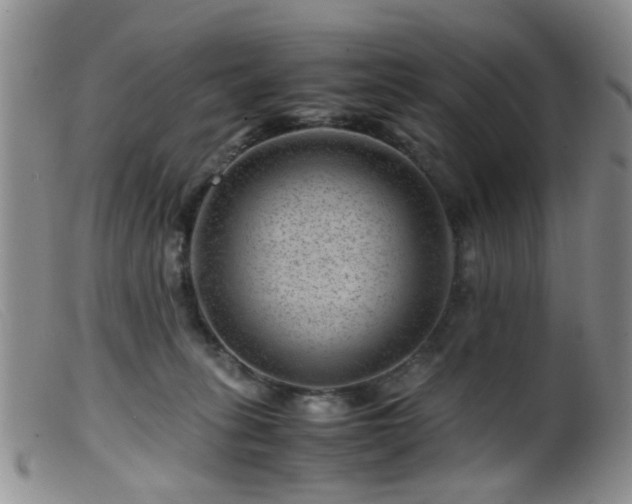 X0000099470275200805161118