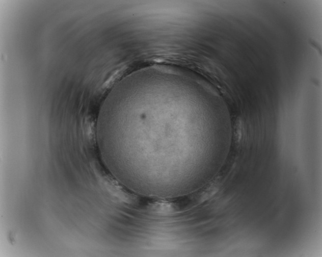 X0000099470276200805161118