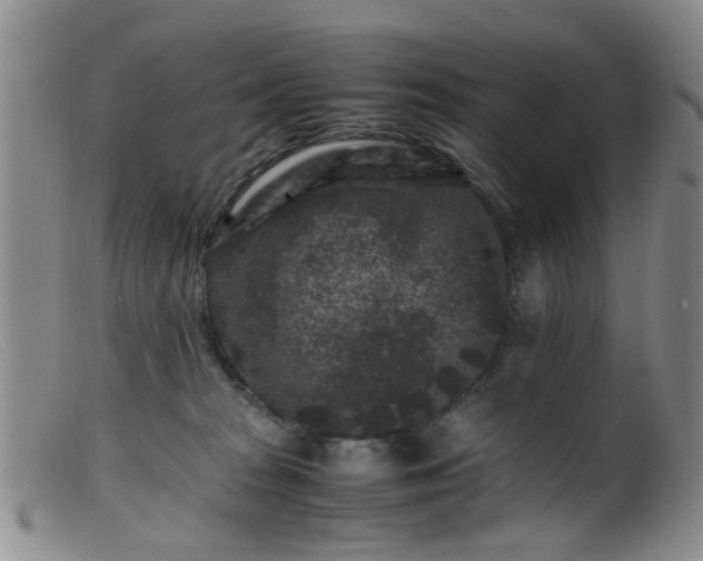 X0000099470277200805161118