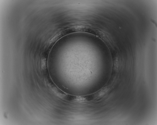X0000099470278200805161118