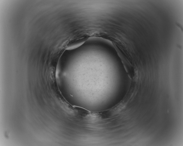 X0000099470280200805161118